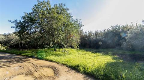 Terreno Rústico  Venda em Alcoutim e Pereiro,Alcoutim