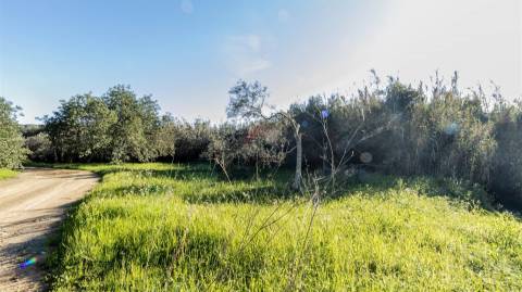 Terreno Rústico  Venda em Alcoutim e Pereiro,Alcoutim