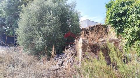 Terreno Misto  Venda em Moncarapacho e Fuseta,Olhão