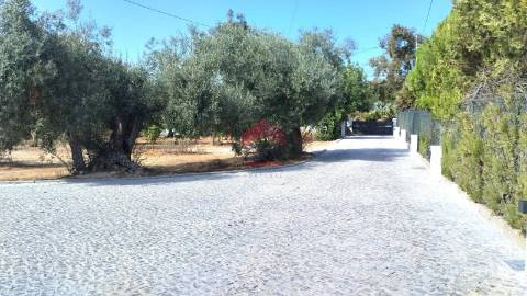 Terreno Misto  Venda em Moncarapacho e Fuseta,Olhão