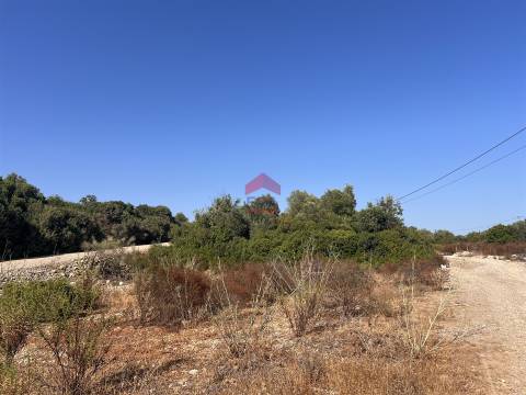 Terreno Rústico  Venda em Luz de Tavira e Santo Estêvão,Tavira