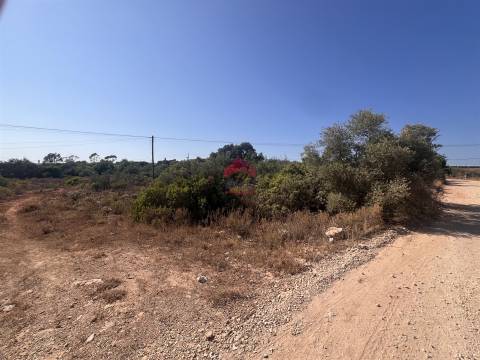 Terreno Rústico  Venda em Luz de Tavira e Santo Estêvão,Tavira