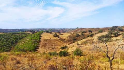 Terreno Rústico  Venda em Odeleite,Castro Marim