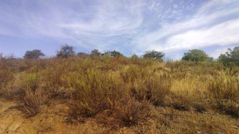 Terreno Rústico  Venda em Odeleite,Castro Marim