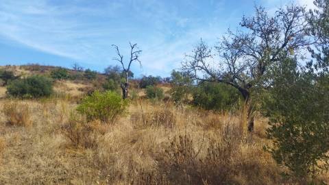 Terreno Rústico  Venda em Odeleite,Castro Marim