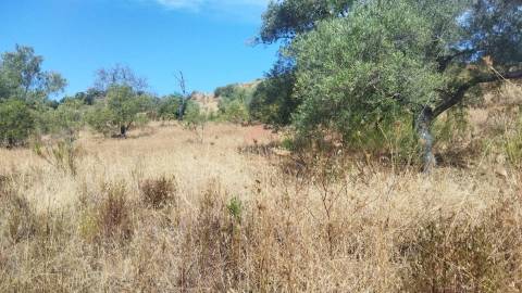 Terreno Rústico  Venda em Odeleite,Castro Marim