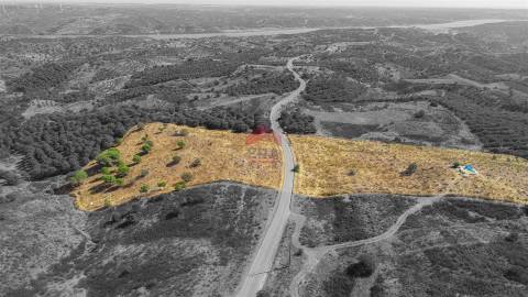 Terreno Rústico  Venda em Azinhal,Castro Marim