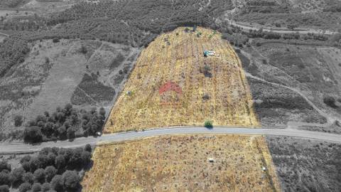 Terreno Rústico  Venda em Azinhal,Castro Marim
