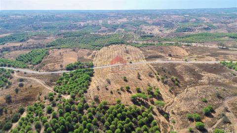 Terreno Rústico  Venda em Azinhal,Castro Marim