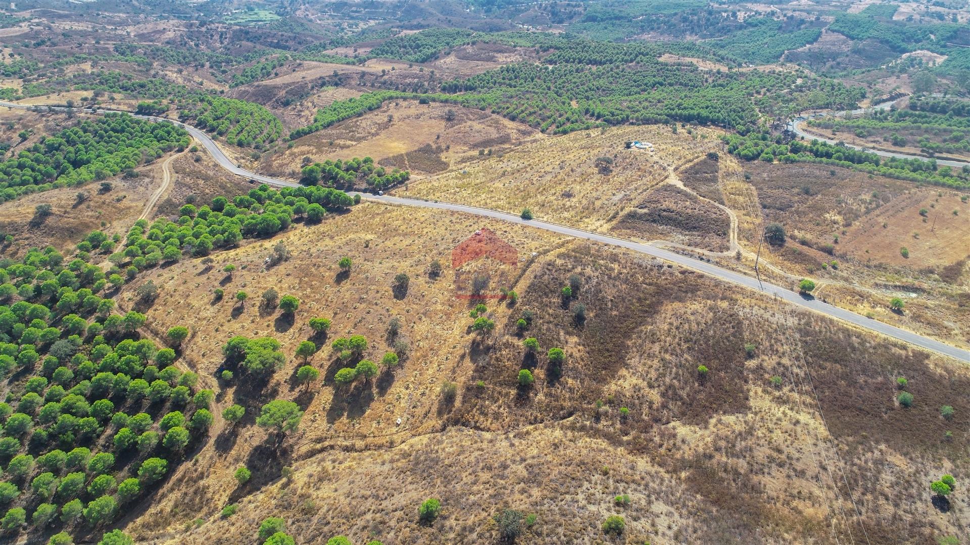 Terreno Rústico  Venda em Azinhal,Castro Marim