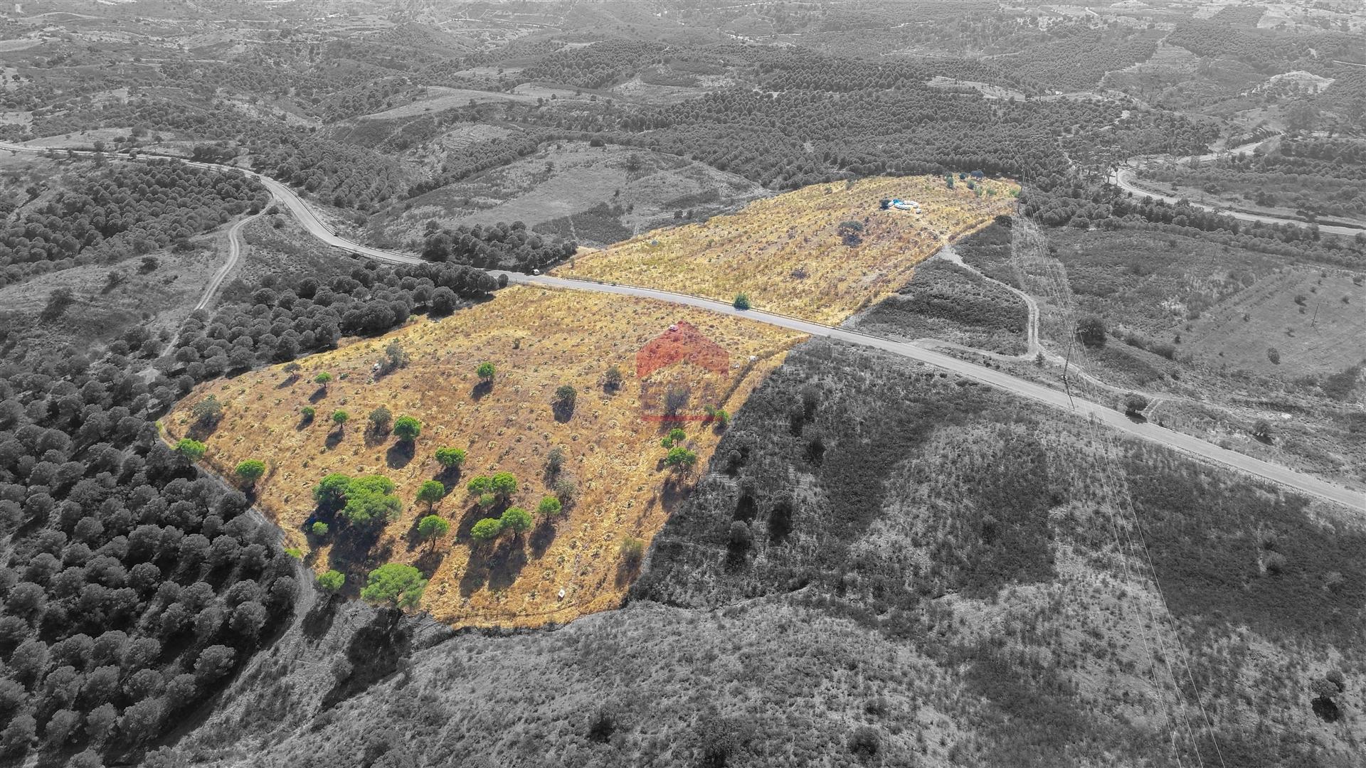 Terreno Rústico  Venda em Azinhal,Castro Marim