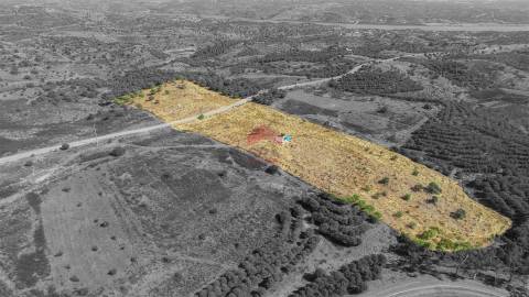 Terreno Rústico  Venda em Azinhal,Castro Marim