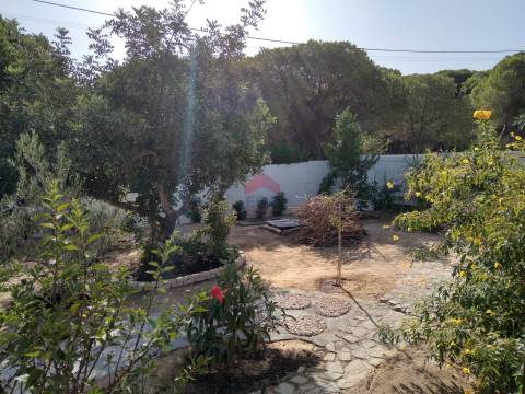 Terreno Rústico  Venda em Quarteira,Loulé