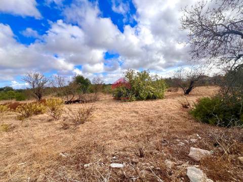 Terreno Rústico  Venda em Luz de Tavira e Santo Estêvão,Tavira
