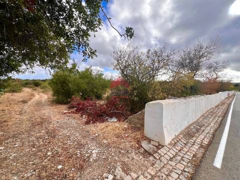 Terreno Rústico  Venda em Luz de Tavira e Santo Estêvão,Tavira
