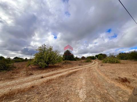 Terreno Rústico  Venda em Luz de Tavira e Santo Estêvão,Tavira