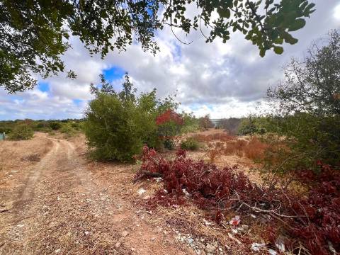 Terreno Rústico  Venda em Luz de Tavira e Santo Estêvão,Tavira