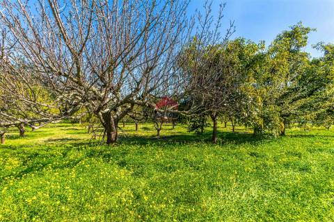 Moradia T4 Venda em Luz de Tavira e Santo Estêvão,Tavira