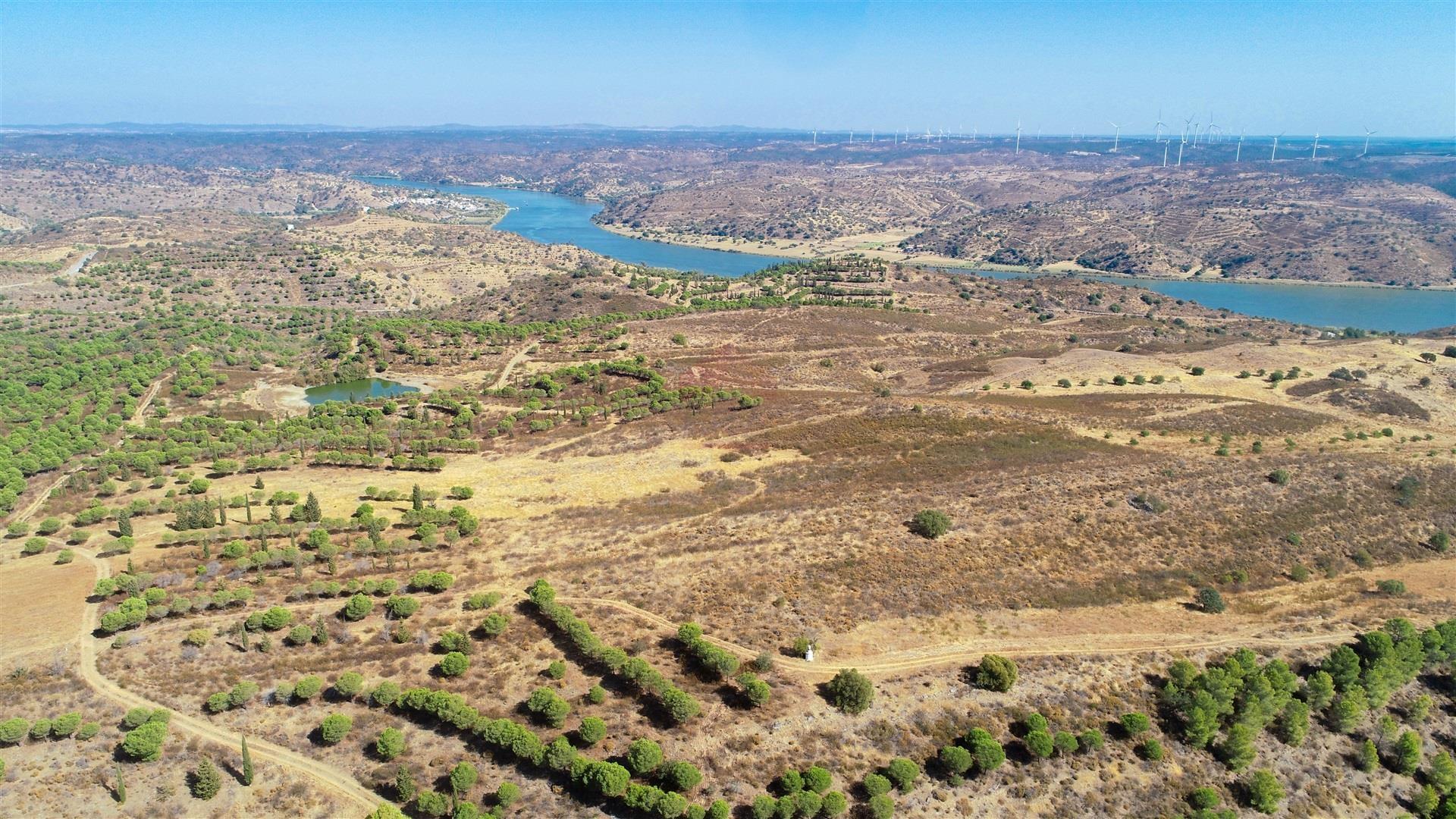 Terreno Rústico  Venda em Odeleite,Castro Marim
