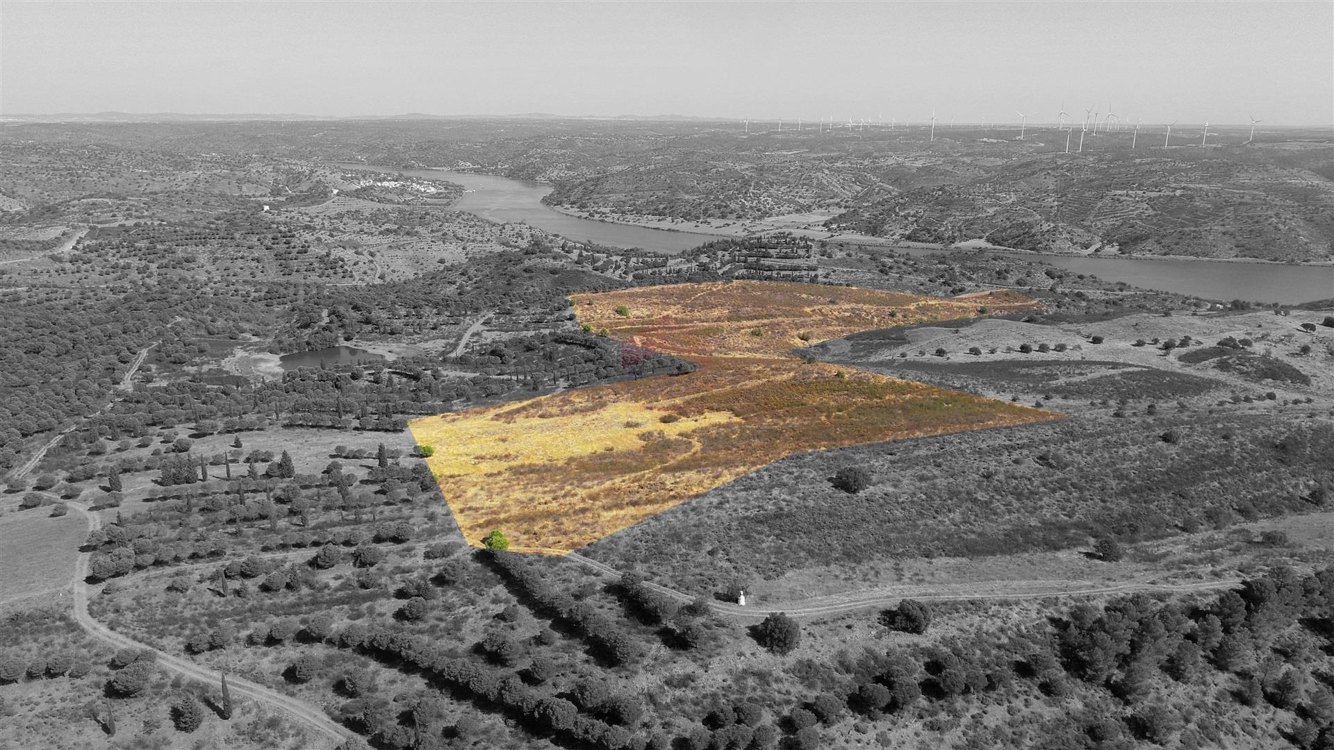 Terreno Rústico  Venda em Odeleite,Castro Marim