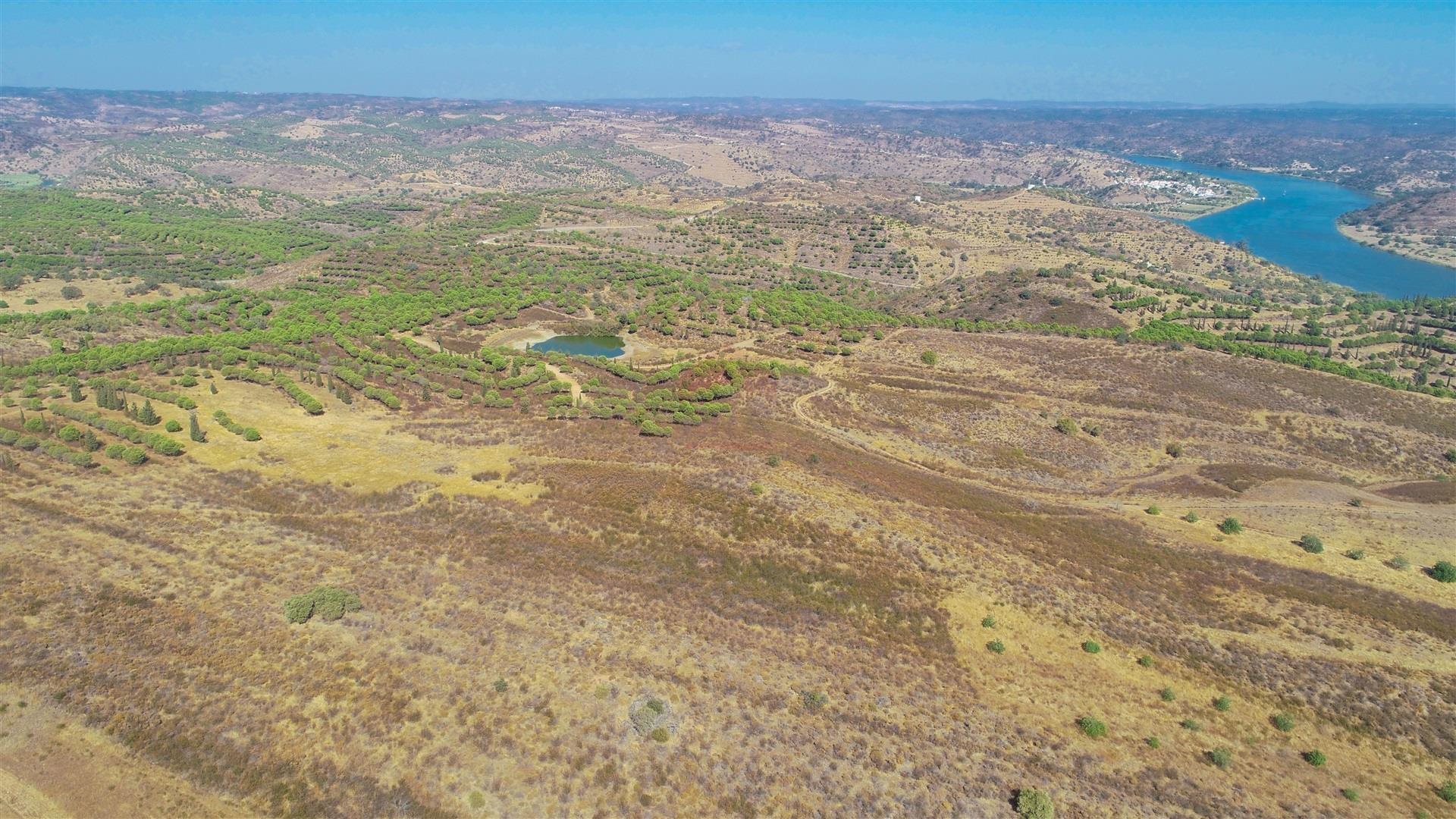 Terreno Rústico  Venda em Odeleite,Castro Marim
