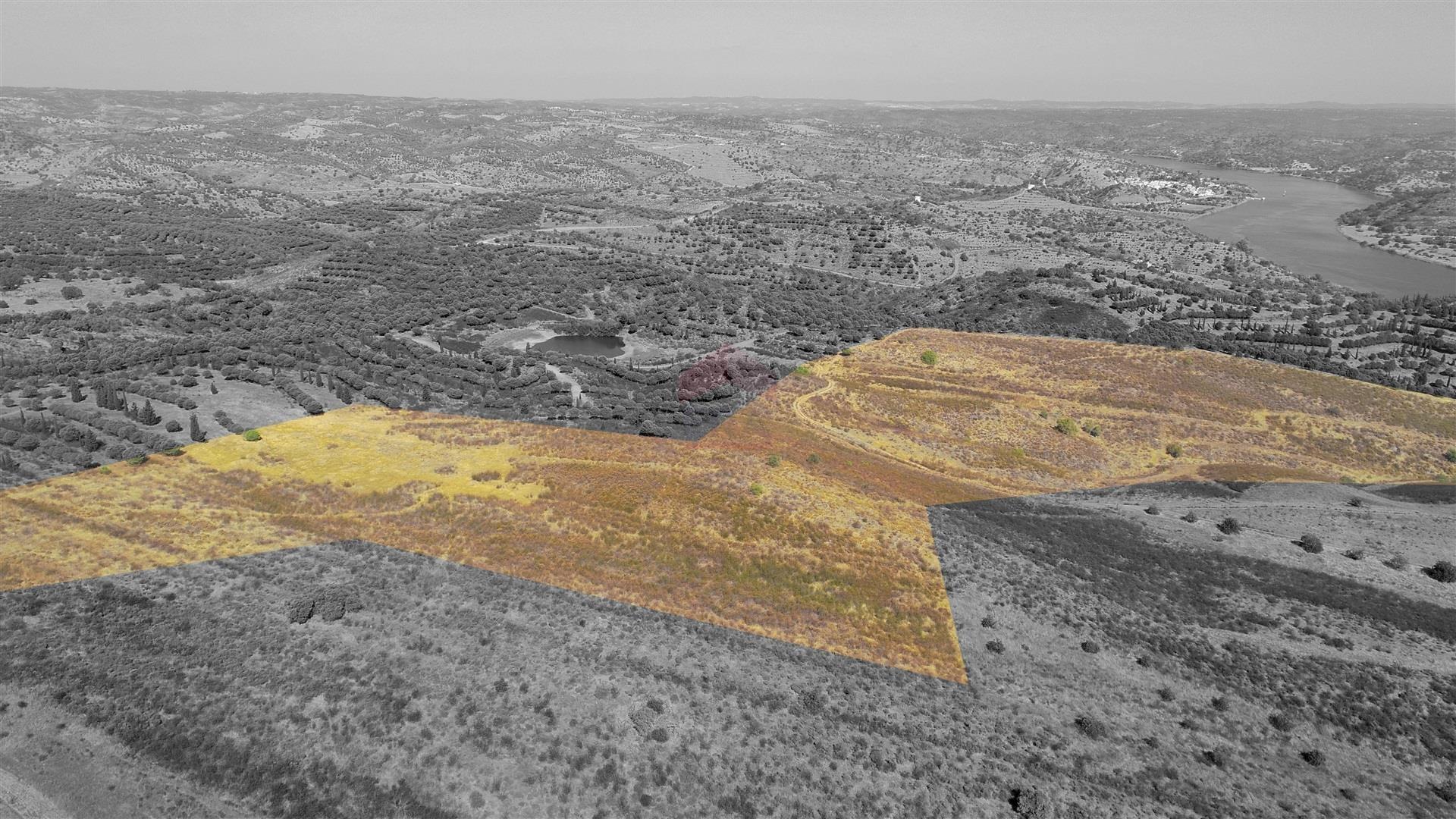 Terreno Rústico  Venda em Odeleite,Castro Marim