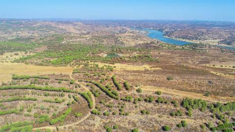Terreno Rústico  Venda em Odeleite,Castro Marim