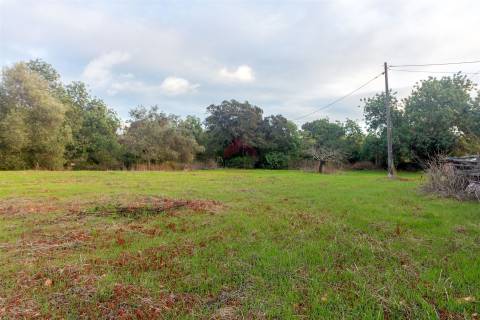 Moradia Isolada T2 Venda em Santa Bárbara de Nexe,Faro