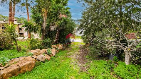 Armazém T5 Venda em Moncarapacho e Fuseta,Olhão