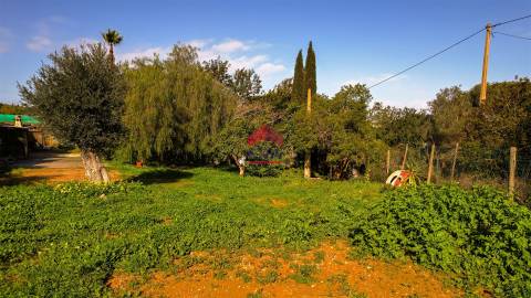 Armazém T5 Venda em Moncarapacho e Fuseta,Olhão