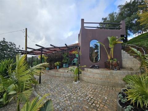 Moradia Isolada T2 Venda em Santa Catarina da Fonte do Bispo,Tavira