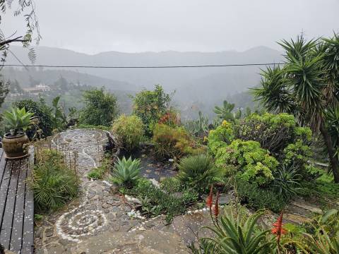 Moradia Isolada T2 Venda em Santa Catarina da Fonte do Bispo,Tavira