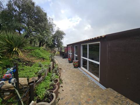 Moradia Isolada T2 Venda em Santa Catarina da Fonte do Bispo,Tavira