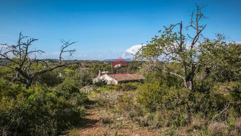 Moradia Isolada T3 Venda em Luz de Tavira e Santo Estêvão,Tavira