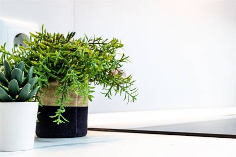 Apartamento T1 Arrendamento Para Férias em Altura,Castro Marim