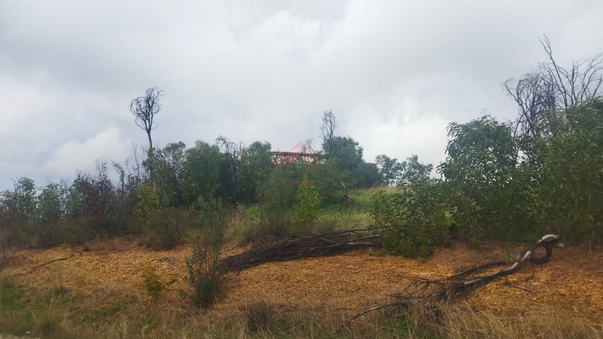 Terreno Urbano  Venda em Vila Real de Santo António,Vila Real de Santo António