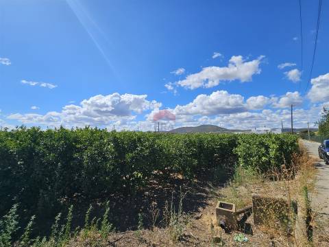 Moradia Isolada T5 Venda em Conceição e Estoi,Faro