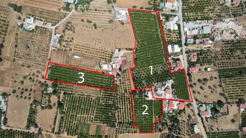 Moradia Isolada T5 Venda em Conceição e Estoi,Faro
