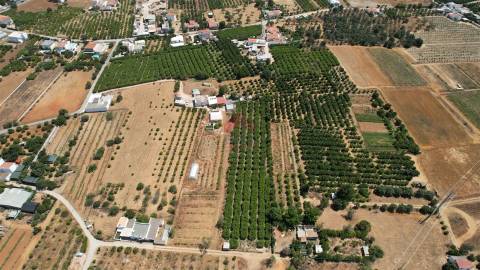 Moradia Isolada T5 Venda em Conceição e Estoi,Faro