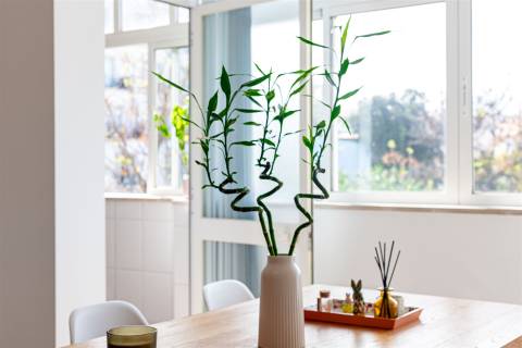 Apartamento T2 Venda em Montenegro,Faro