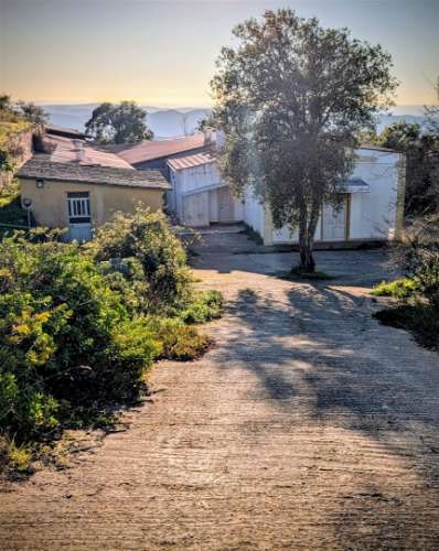 Quinta T3 Venda em Salir,Loulé
