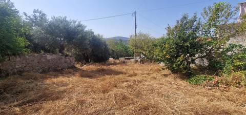 Terreno  Venda em São Brás de Alportel,São Brás de Alportel