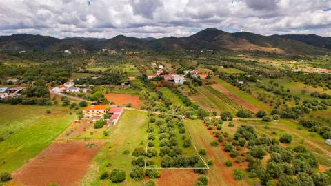 Terreno Rústico  Venda em Salir,Loulé