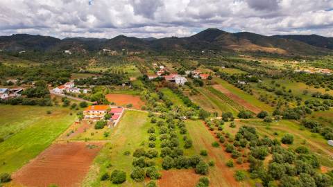 Terreno Rústico  Venda em Salir,Loulé