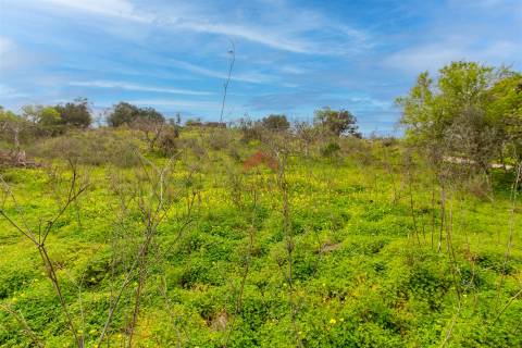 Terreno Para Construção  Venda em Alcoutim e Pereiro,Alcoutim