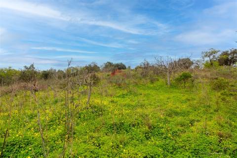 Terreno Para Construção  Venda em Alcoutim e Pereiro,Alcoutim