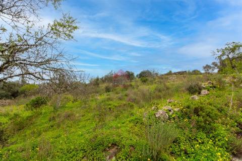 Terreno Para Construção  Venda em Alcoutim e Pereiro,Alcoutim