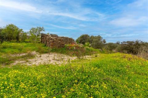 Terreno Para Construção  Venda em Alcoutim e Pereiro,Alcoutim
