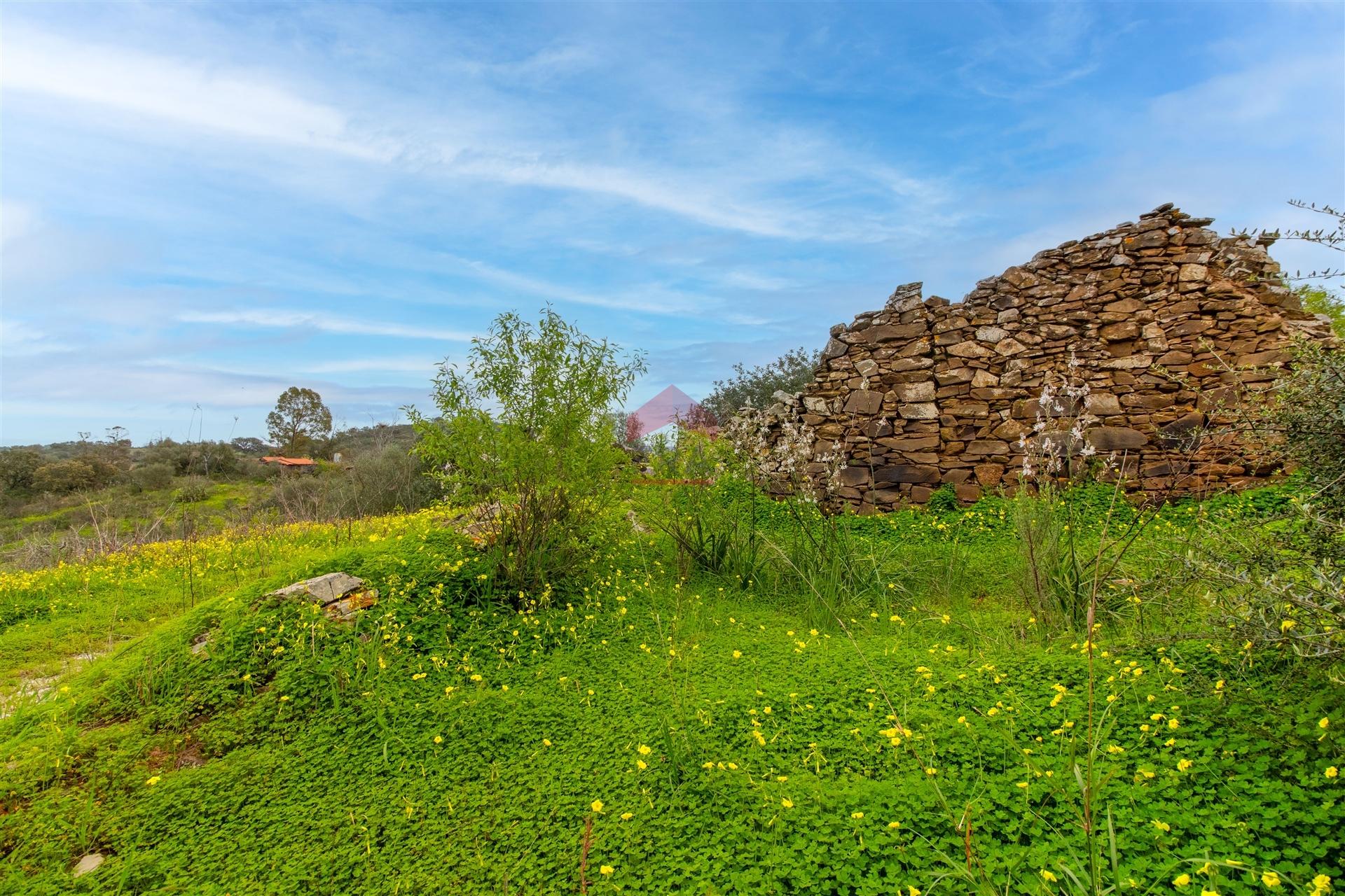 Terreno Para Construção  Venda em Alcoutim e Pereiro,Alcoutim