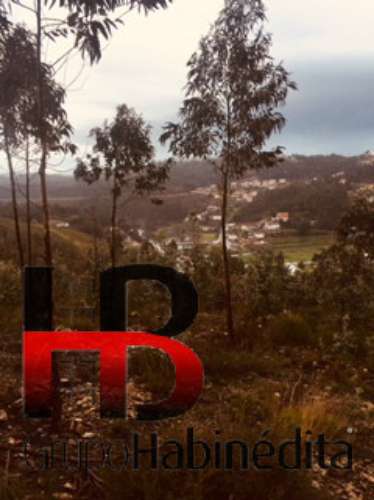 Terreno Rústico  Venda em Fânzeres e São Pedro da Cova,Gondomar